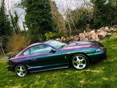 www.ebay.co.uk