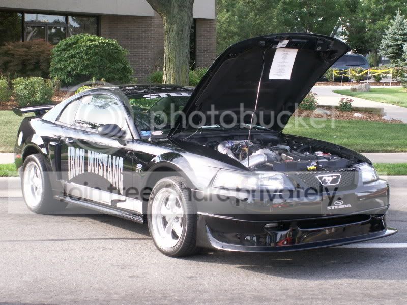 Mustangs012.jpg
