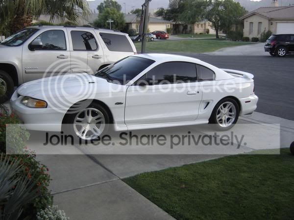 loweredstang.jpg