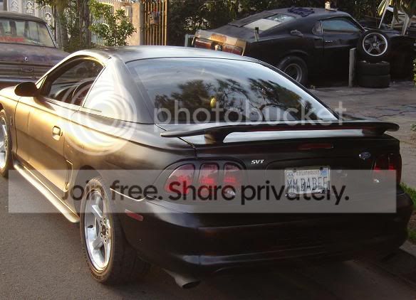 mustang005.jpg