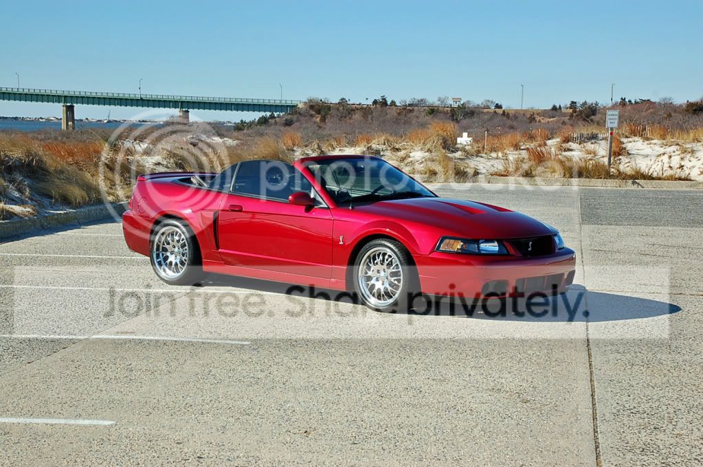 DSC_0897_edited-1.jpg