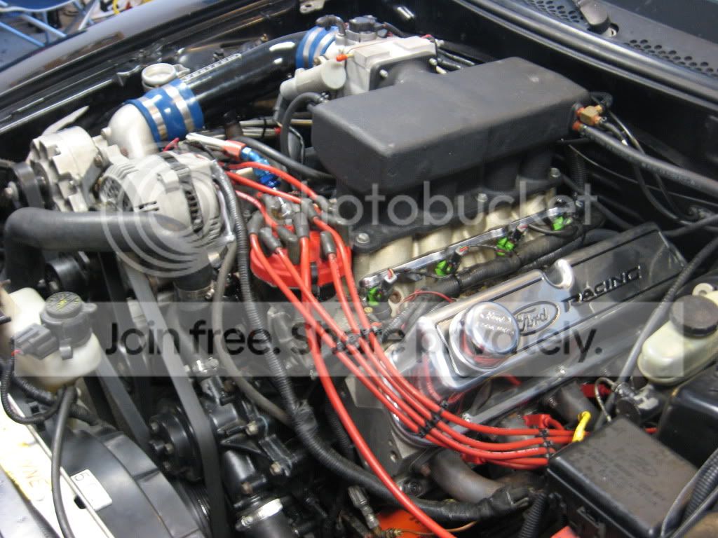 IMG_1283.jpg
