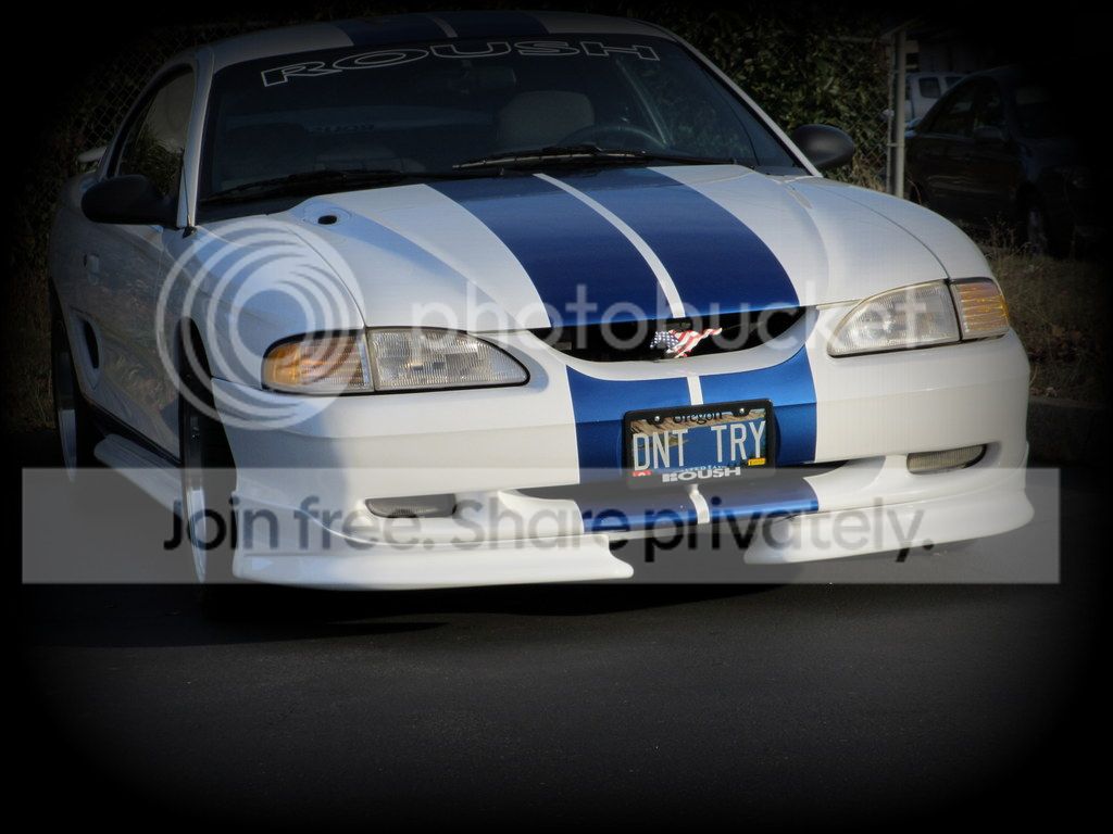 Border%20Roush.jpg