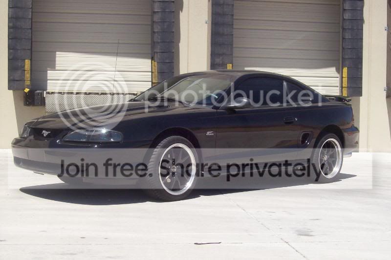 Mustang020.jpg