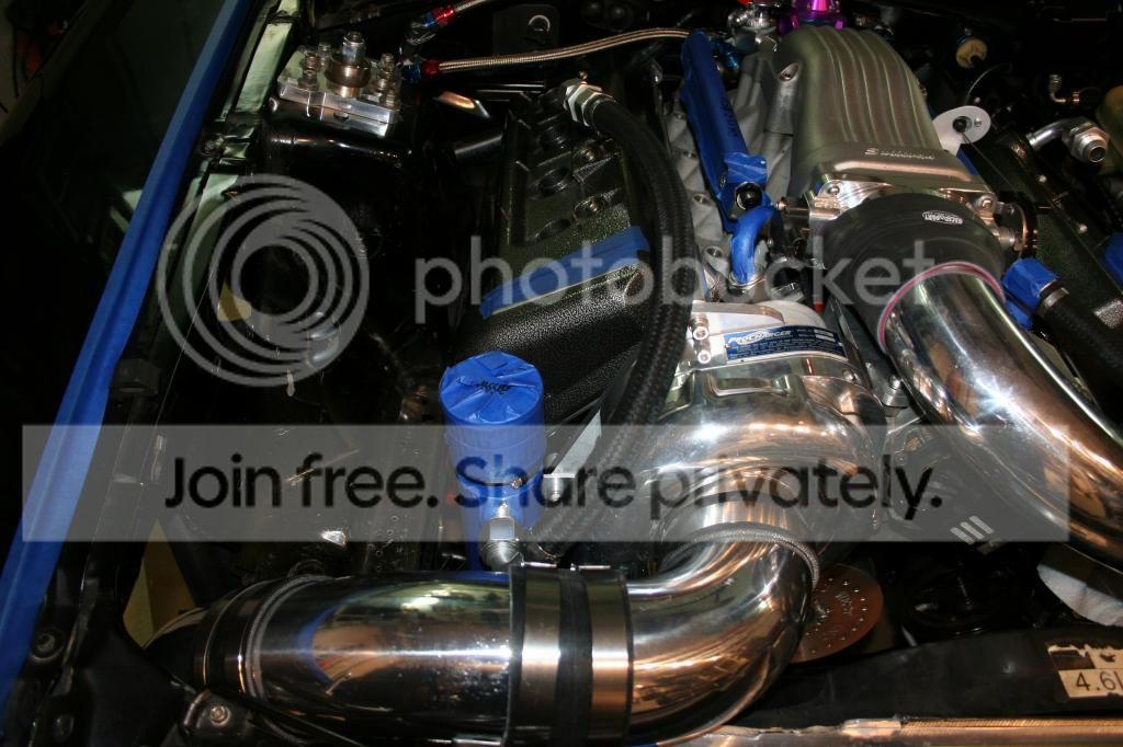 IMG_7043_zpsa46d588f.jpg