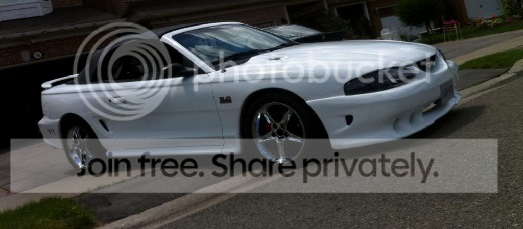 IMG_0015_zps81d848a7.jpg