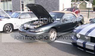 Mustangs017.jpg