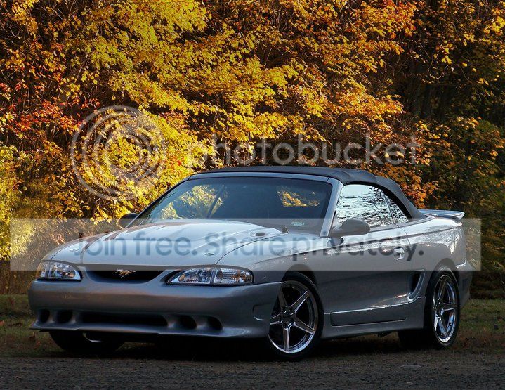 fall_zpsd2cf244e.jpg