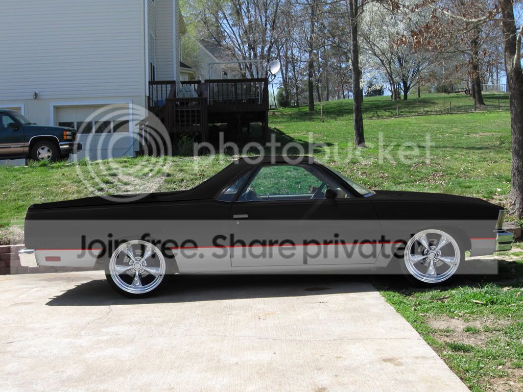 elcamino.jpg