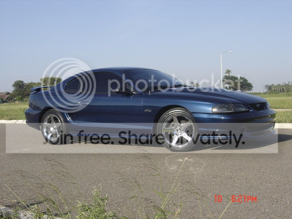 stunner3052.jpg