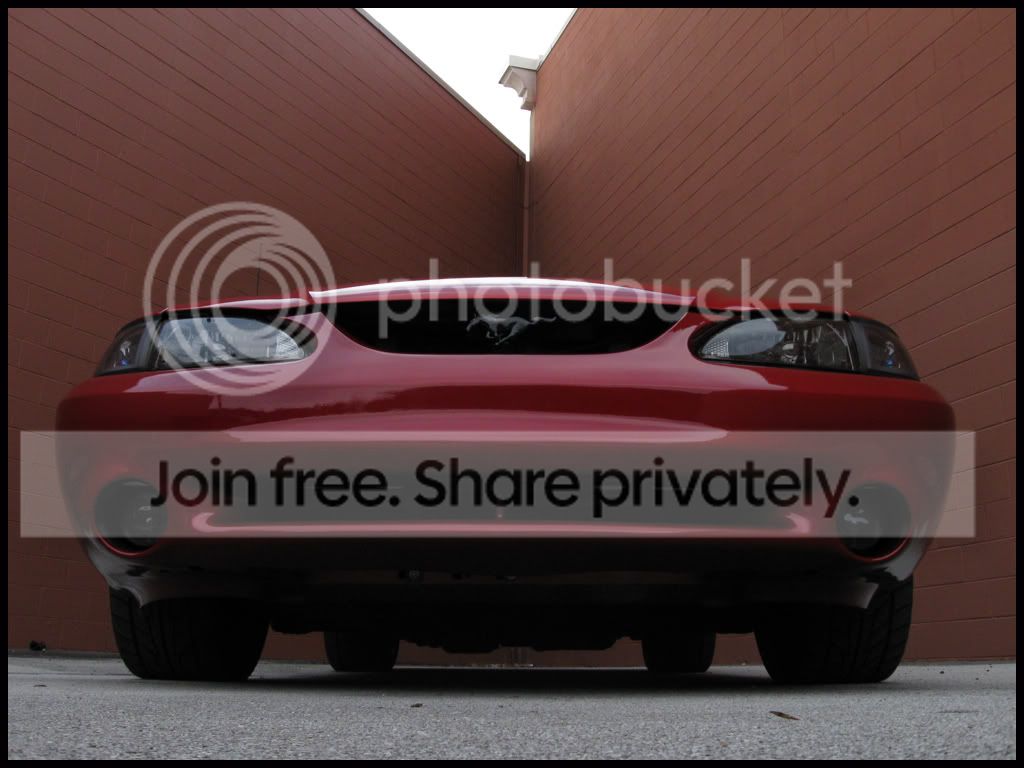 stang059.jpg
