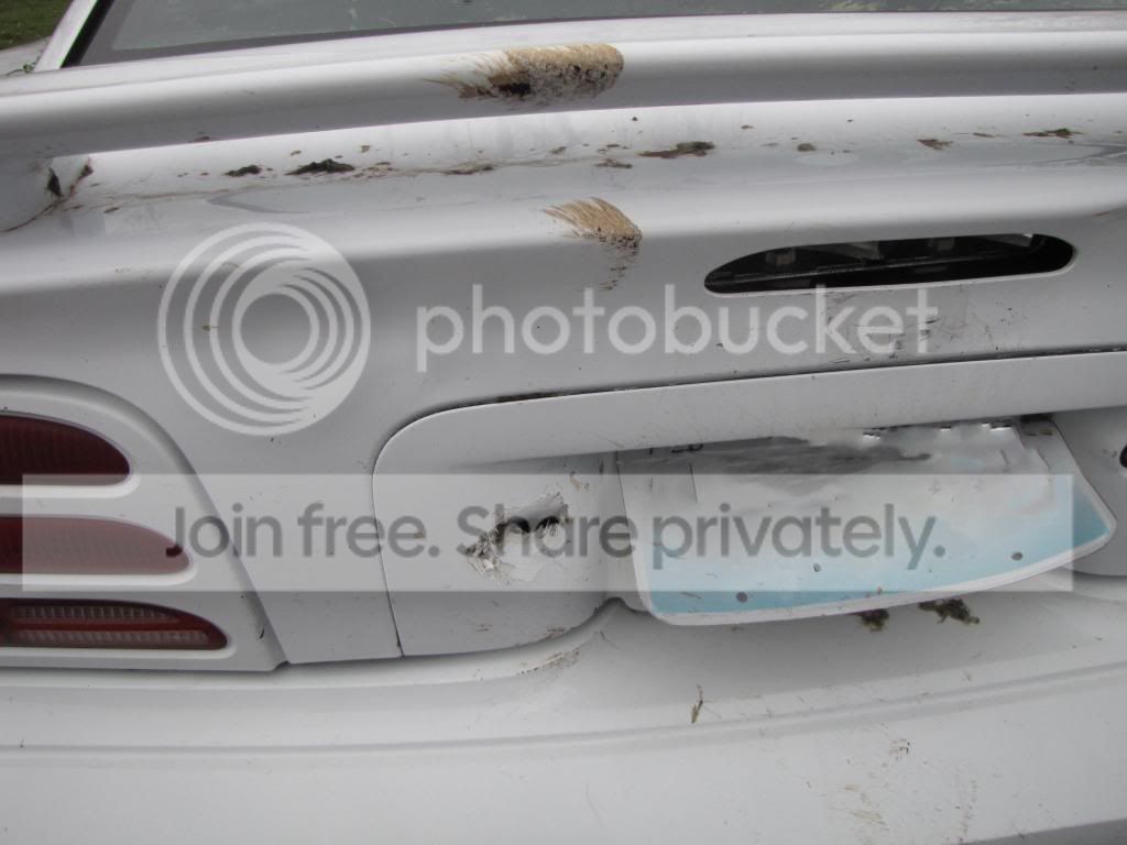 IMG_5890copy.jpg