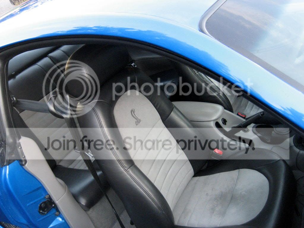 stang013.jpg