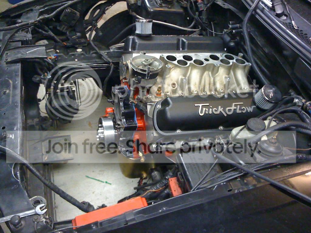 bf80f701.jpg