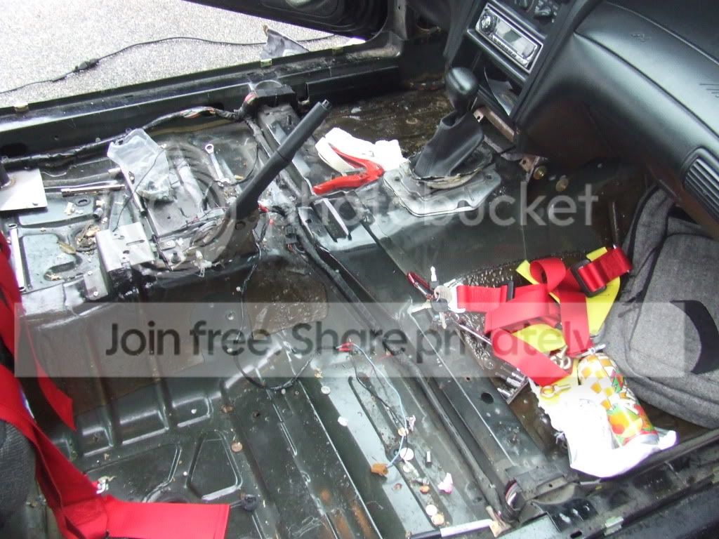 DSCF2556.jpg