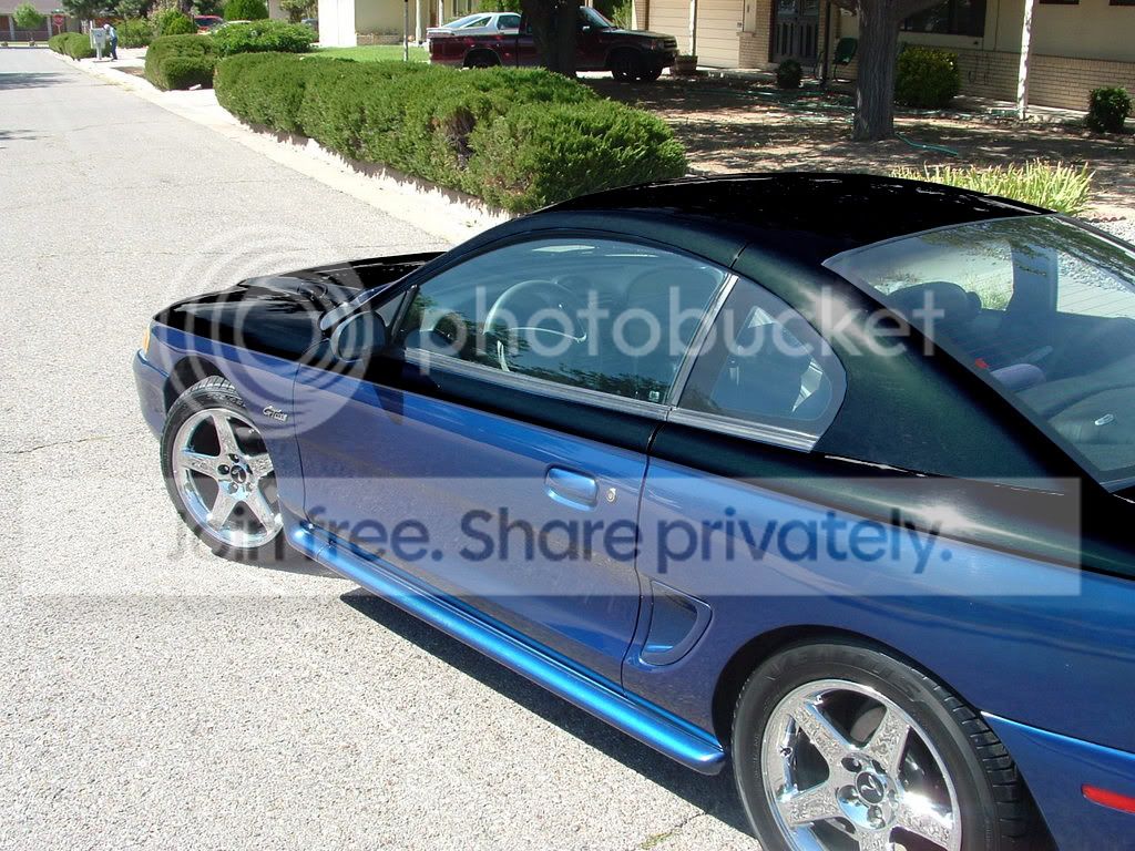 black1.jpg