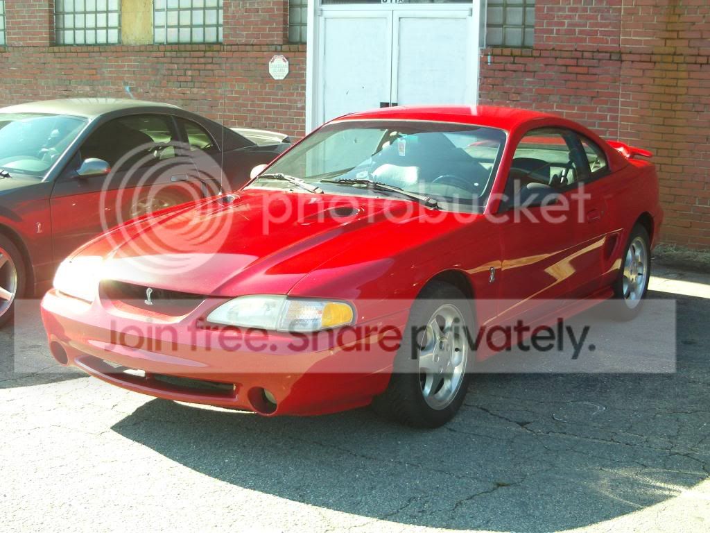FILE0055-Copy.jpg