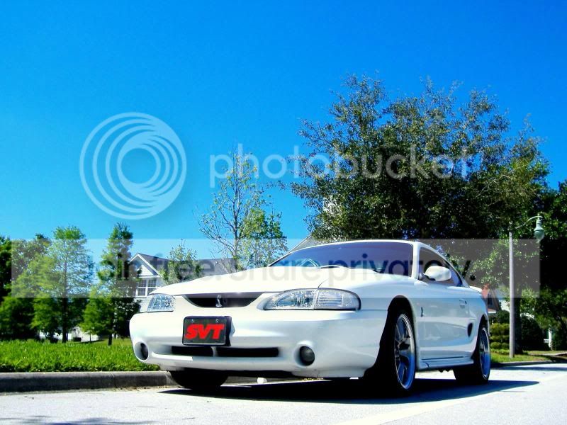 Cobra_Shoot4-6-11007.jpg