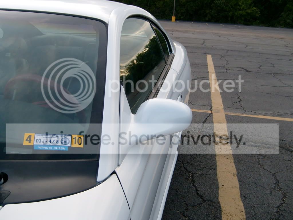 S7300689.jpg