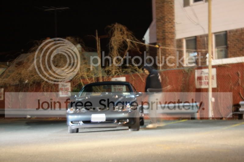 Mustangs2-20-09047.jpg
