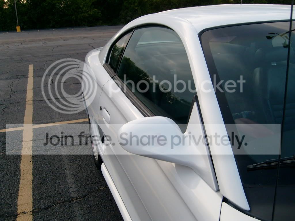 S7300688.jpg