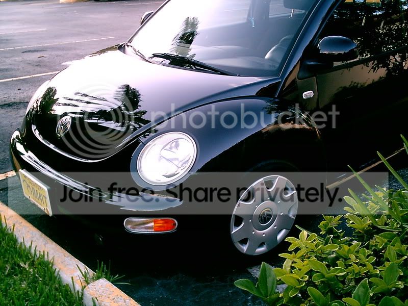 carafter3.jpg