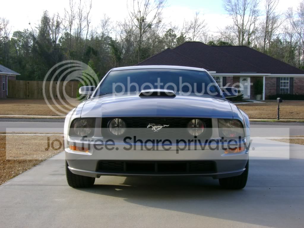mustang7.jpg