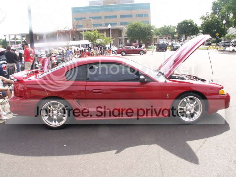 Mustangs113.jpg