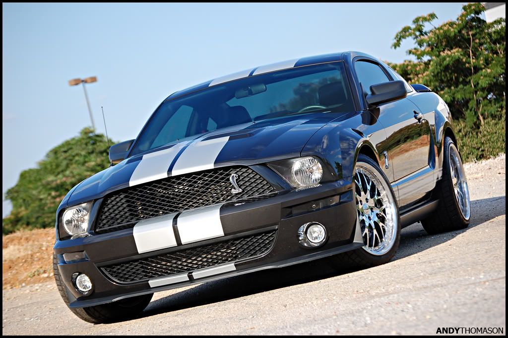Mustangshoot30.jpg