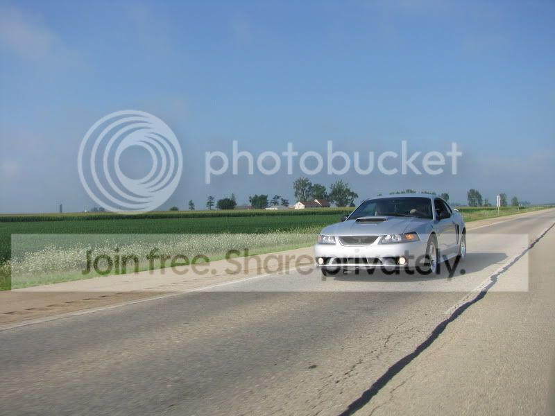 IMG_0005.jpg