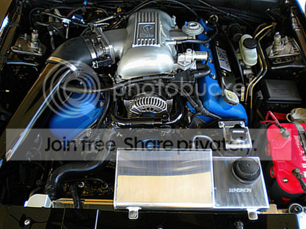 DSCN0718.jpg