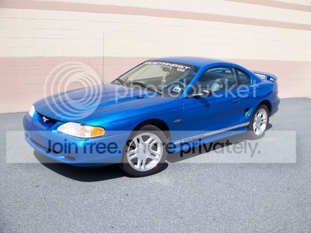 stang026.jpg