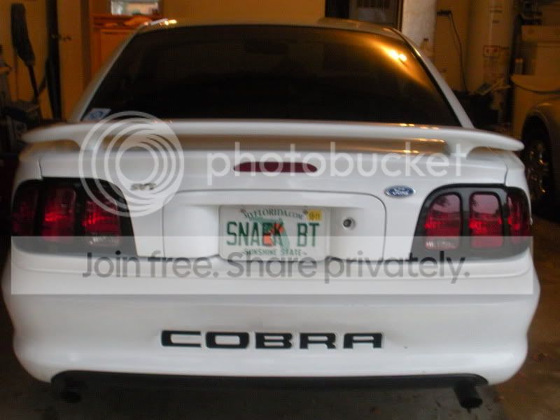 COBRA006.jpg