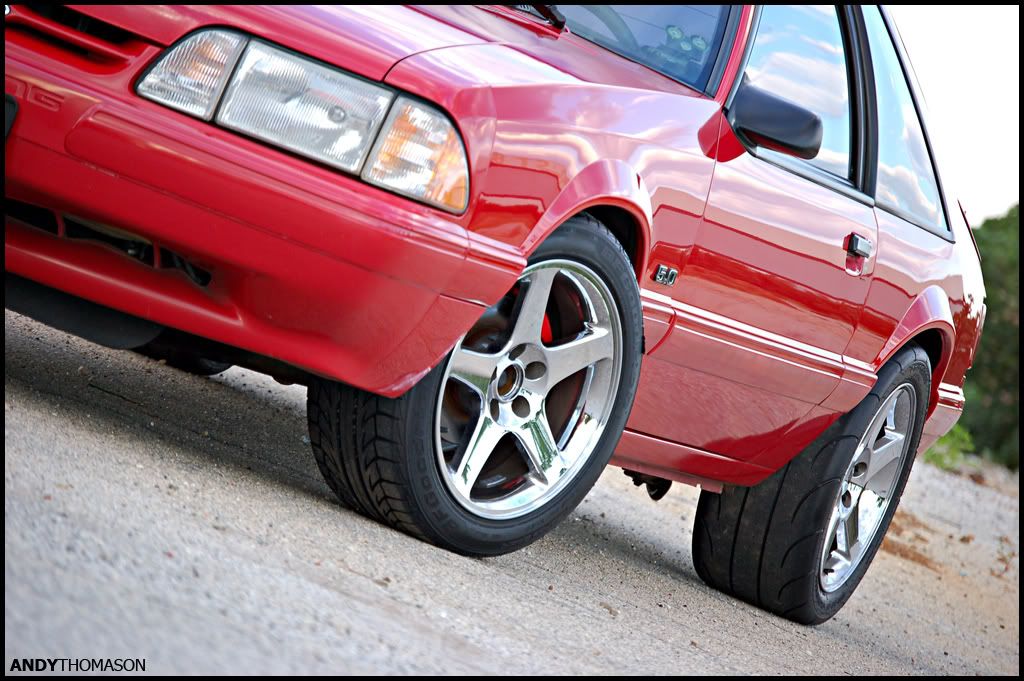 Mustangshoot55.jpg