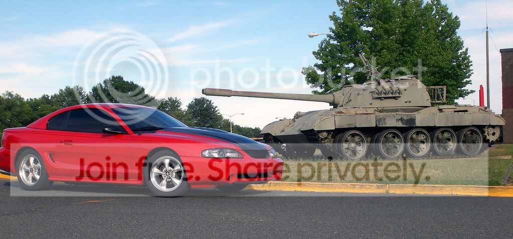 Stang5.jpg