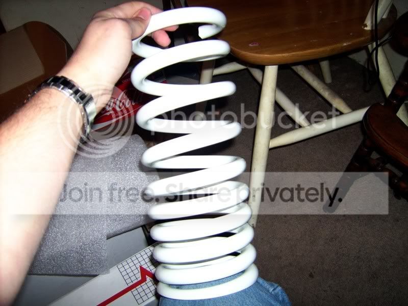 springshit004.jpg
