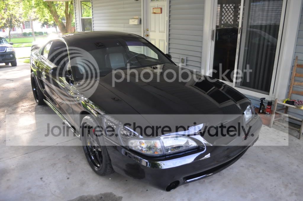 mustang052.jpg