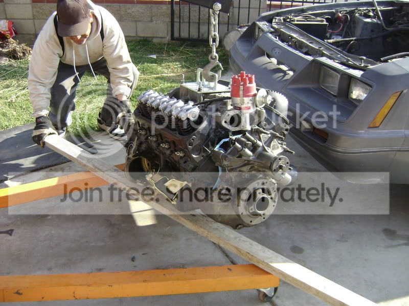 draglites006.jpg