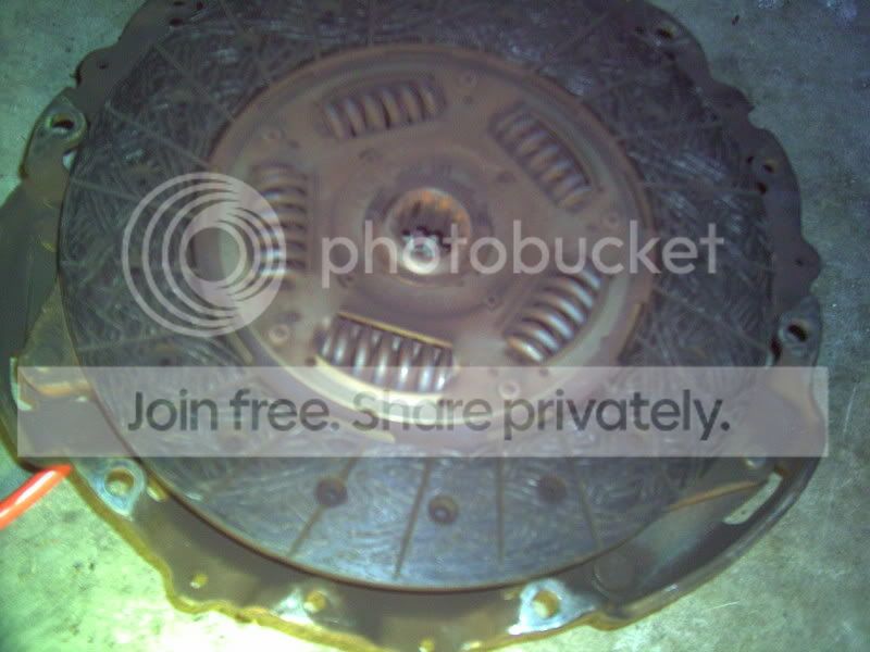 PICT0005.jpg