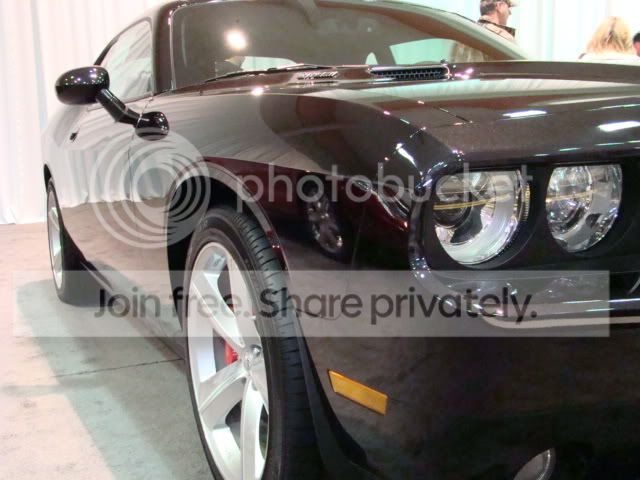 DSC01409.jpg