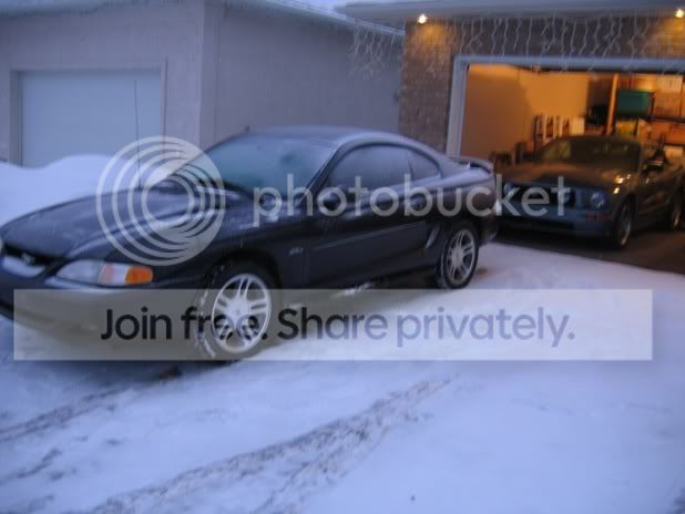 Mustang004.jpg