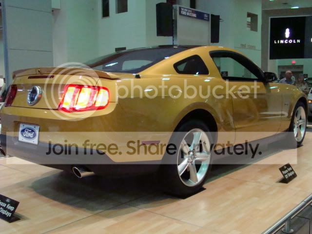 DSC01410.jpg