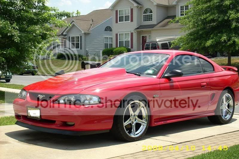 MustangPicsJuly3.jpg