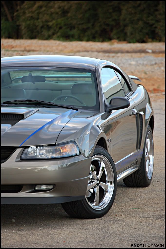Mustangshoot50.jpg