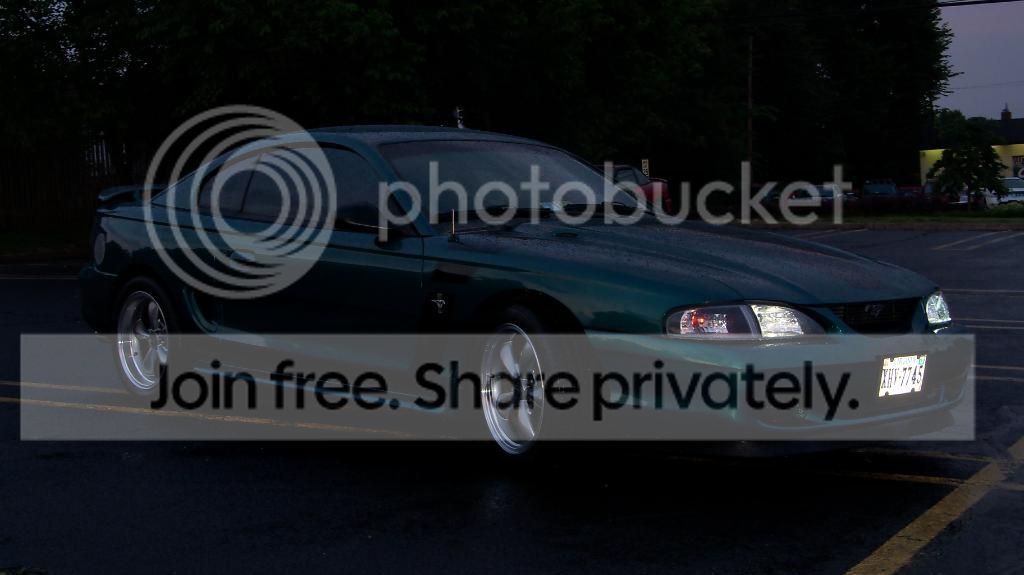 Stang086.jpg
