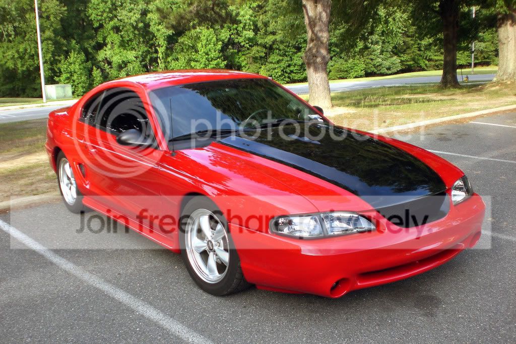 Stang15.jpg