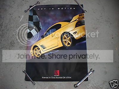 SaleenSr.jpg