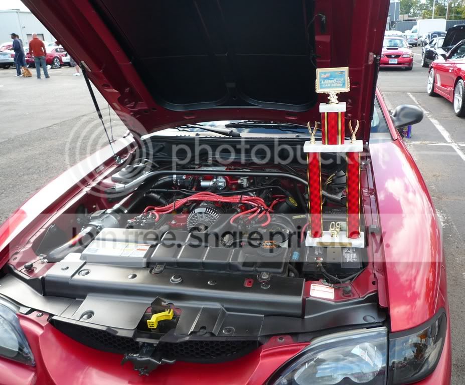 trophy09.jpg