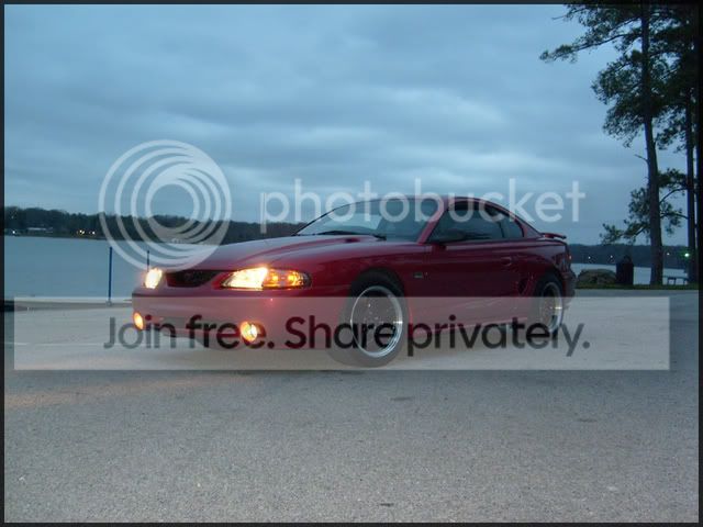 stang025.jpg