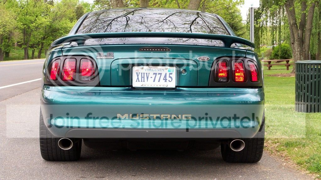 ZebMustang026.jpg